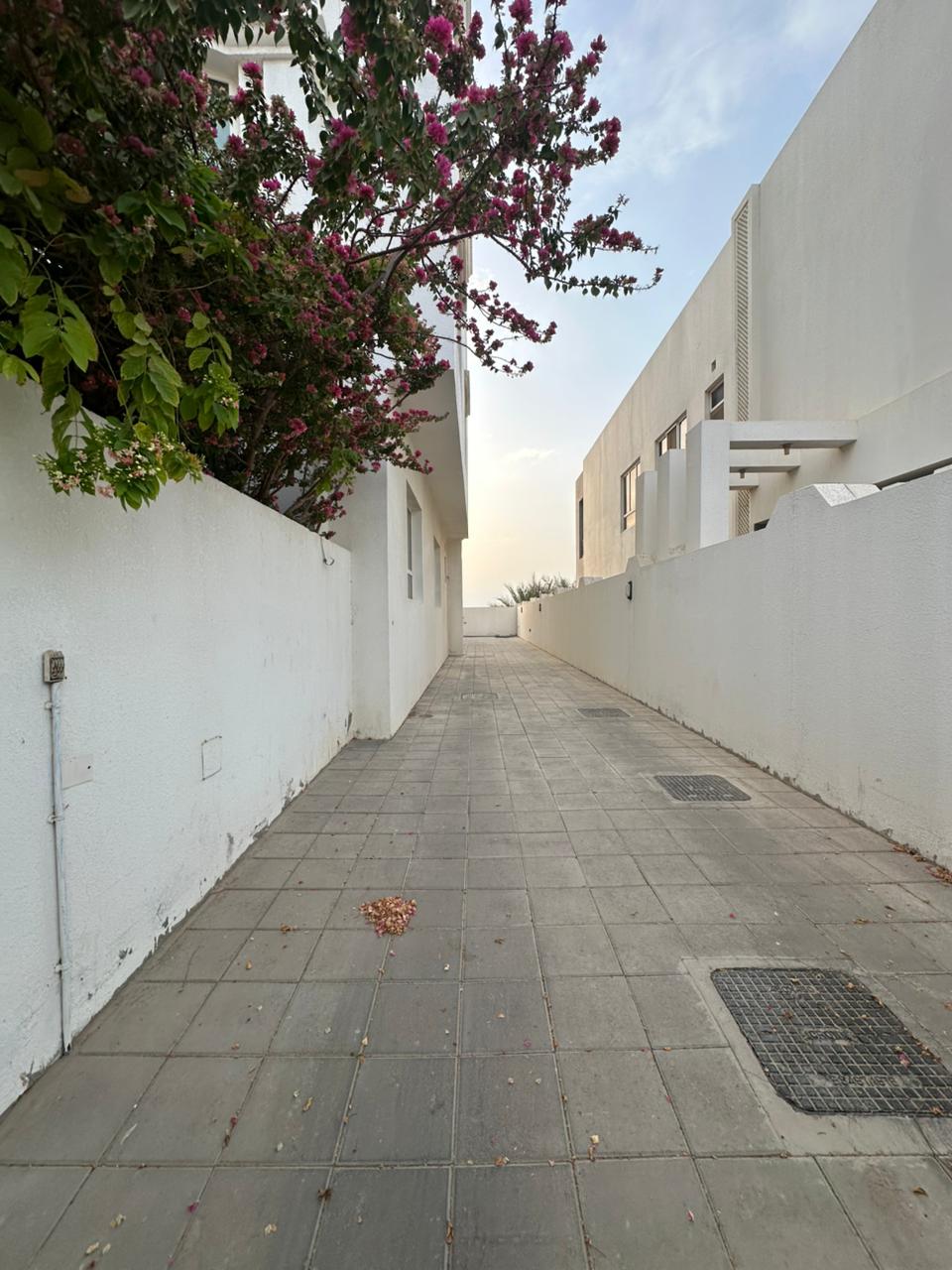 صورة واتساب بتاريخ 1447-03-01 في 10.02.21_823ec85e